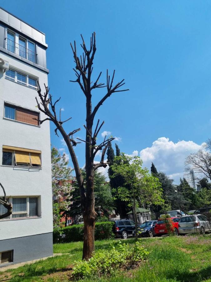 Atelje Apartment Podgorica Bagian luar foto