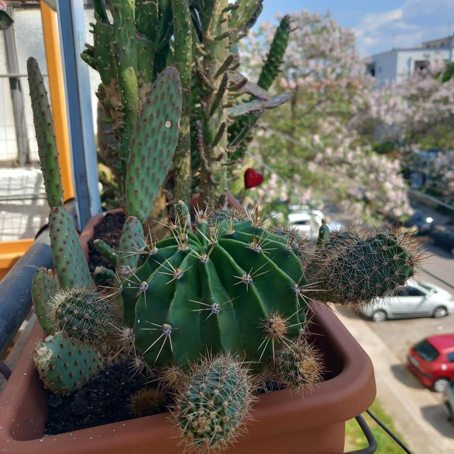 Atelje Apartment Podgorica Bagian luar foto